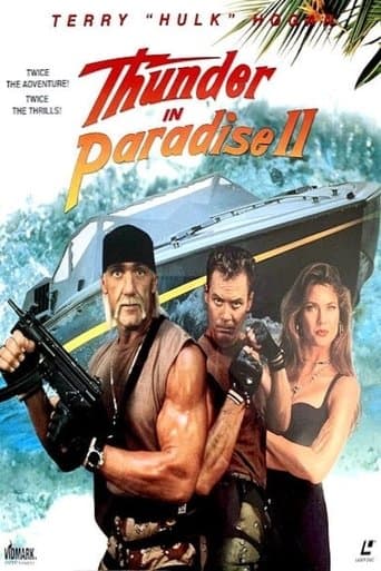 Movie poster for Thunder in Paradise 2