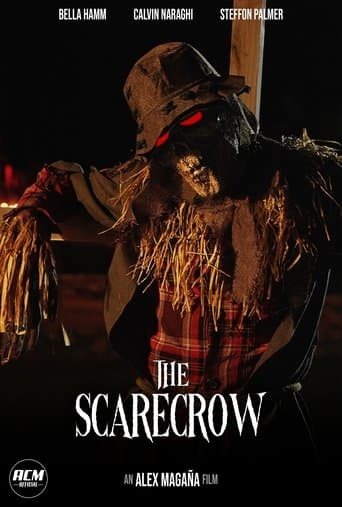 Movie poster for The Scarecrow