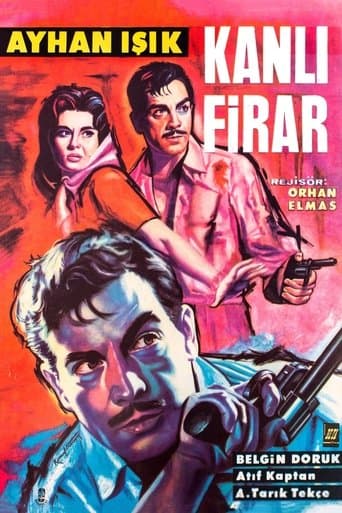 Movie poster for Kanlı Firar