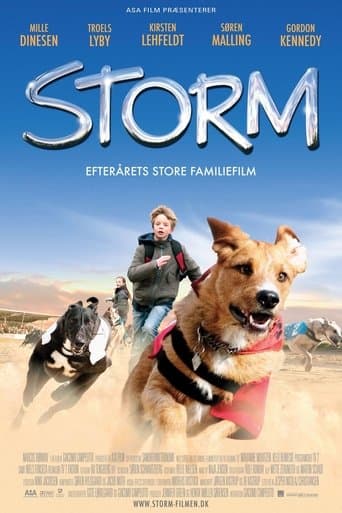 Movie poster for Storm