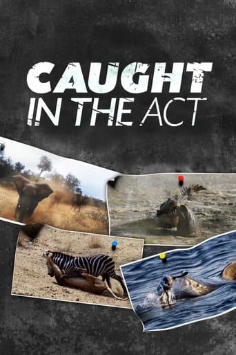 Movie poster for Caught in the Act