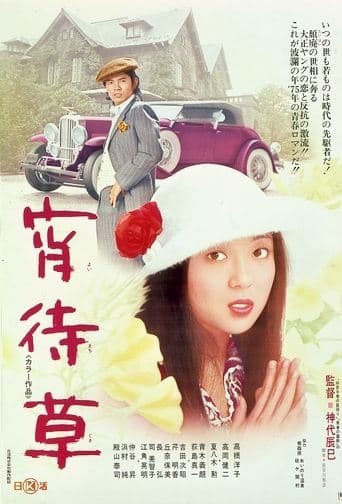 Movie poster for Evening Primrose