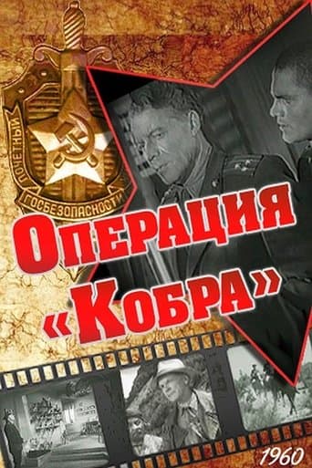 Movie poster for Operation Cobra