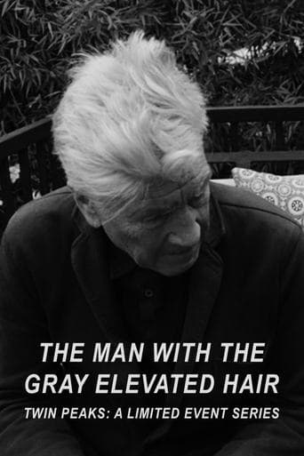 Movie poster for The Man with the Gray Elevated Hair
