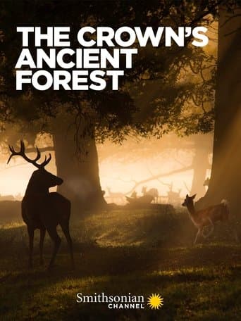 Movie poster for The Crown's Ancient Forest