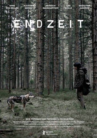 Movie poster for Endzeit