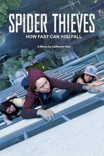 Movie poster for Spider Thieves