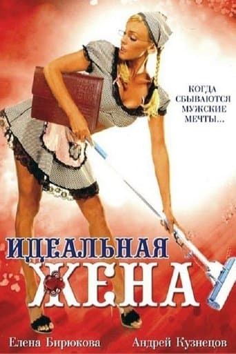 Movie poster for The Perfect Wife