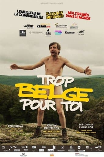 Movie poster for Trop belge pour toi