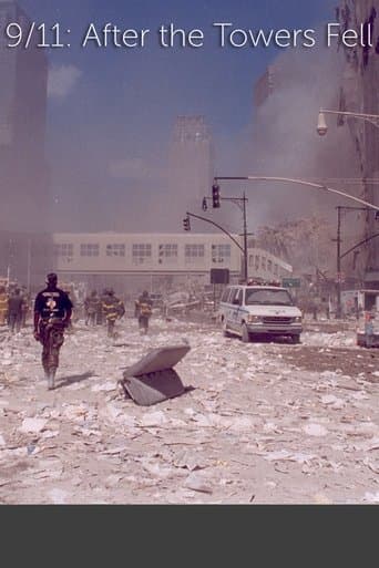 Movie poster for 9/11: After The Towers Fell