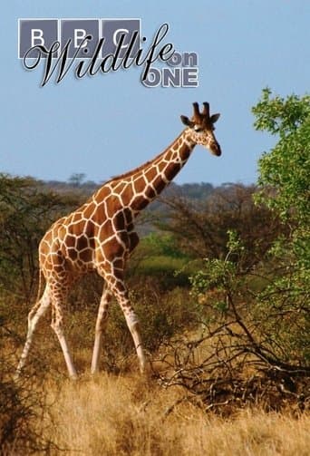 Movie poster for Wildlife on One