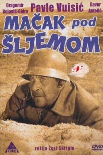 Movie poster for Cat Under a Helmet