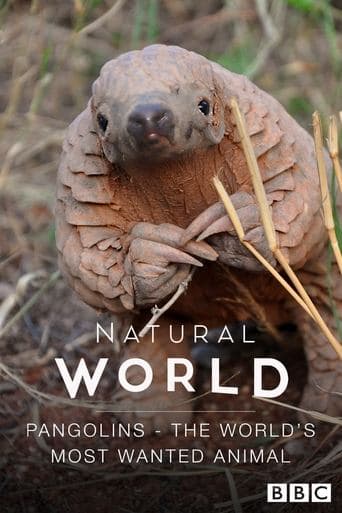 Movie poster for Pangolins: The World's Most Wanted Animal