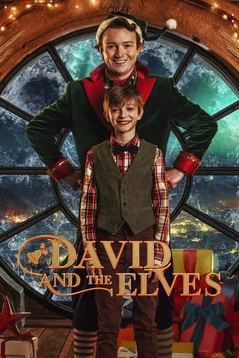 Movie poster for David and the Elves