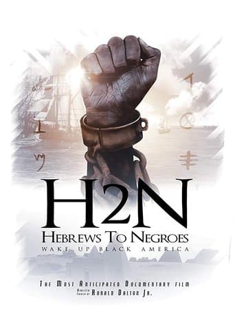 Movie poster for Hebrews to Negroes: Wake Up Black America