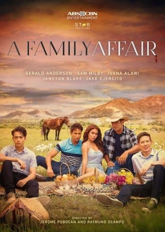 Movie poster for A Family Affair