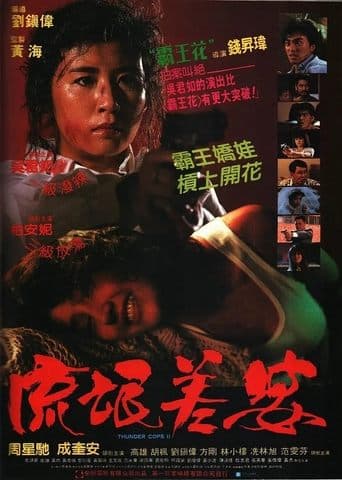 Movie poster for Thunder Cops II