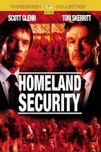 Movie poster for Homeland Security