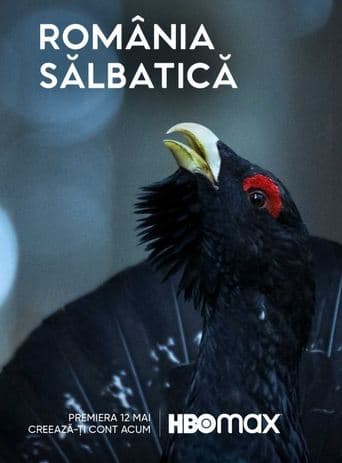 Movie poster for Wild Romania