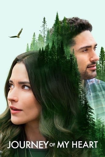 Movie poster for Journey of My Heart
