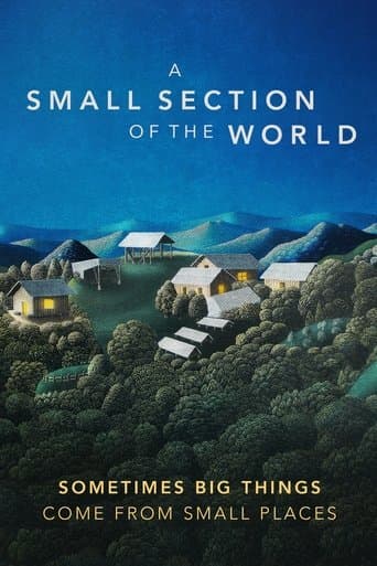 Movie poster for A Small Section of the World