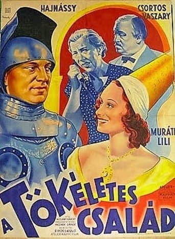 Movie poster for A tökéletes család