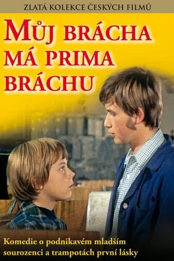 Movie poster for My Brother Has a Cute Brother