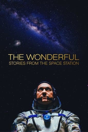 Movie poster for The Wonderful: Stories from the Space Station