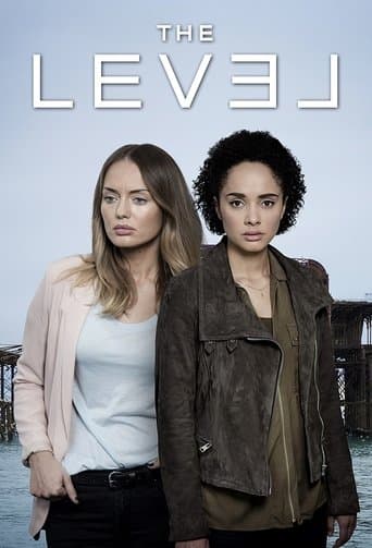 Movie poster for The Level