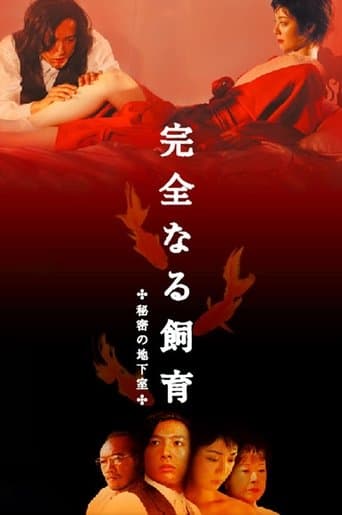 Movie poster for Perfect Education 4: Secret Basement