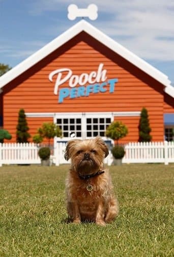 Movie poster for Pooch Perfect