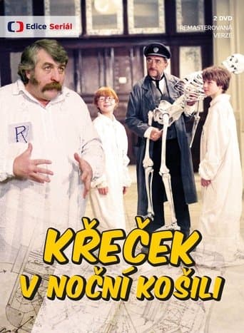 Movie poster for Křeček v noční košili