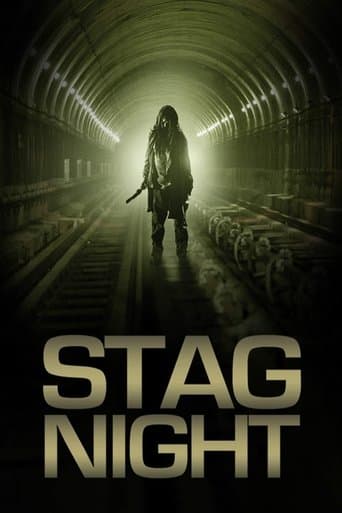 Movie poster for Stag Night