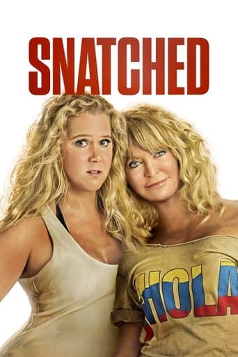 Movie poster for Snatched