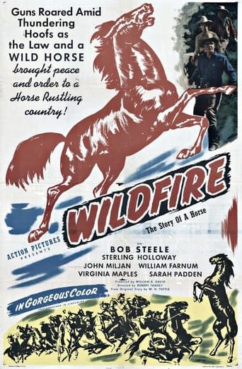 Movie poster for Wildfire