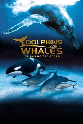 Movie poster for IMAX Dolphins and Whales: Tribes of the Ocean