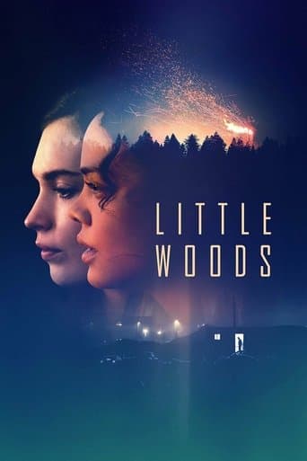 Movie poster for Little Woods