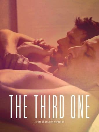 Movie poster for The Third One