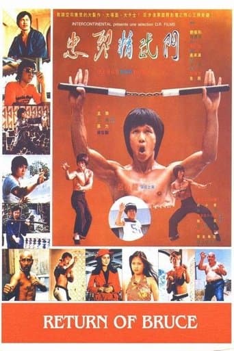 Movie poster for Return of Bruce