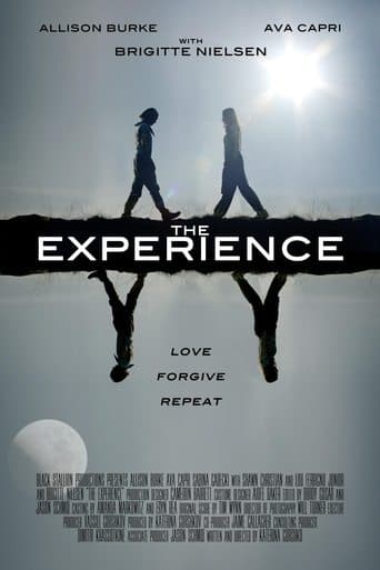Movie poster for The Experience