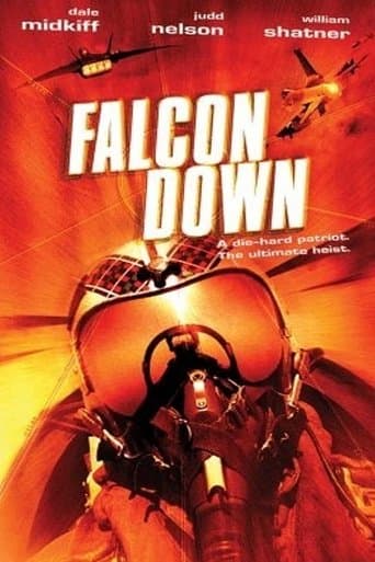 Movie poster for Falcon Down