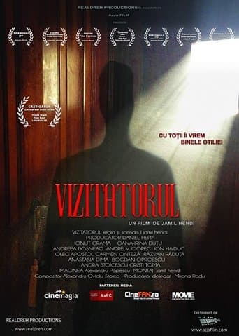 Movie poster for The Visitor