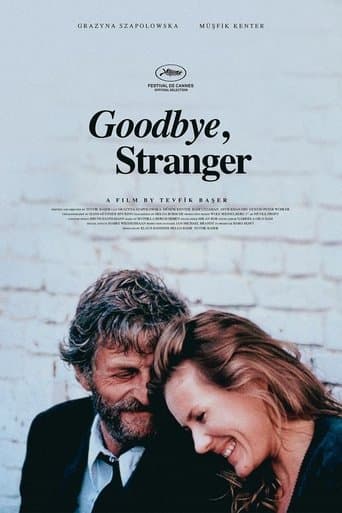 Movie poster for Goodbye Stranger