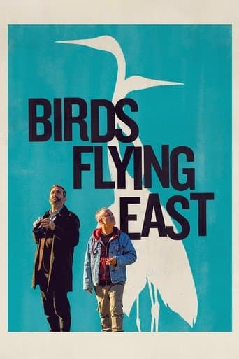 Movie poster for Birds Flying East