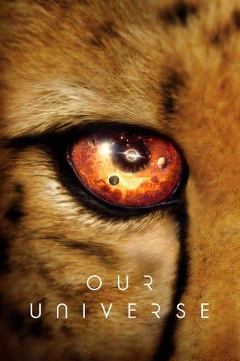 Movie poster for Our Universe