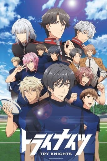Movie poster for Try Knights