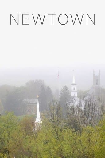 Movie poster for Newtown