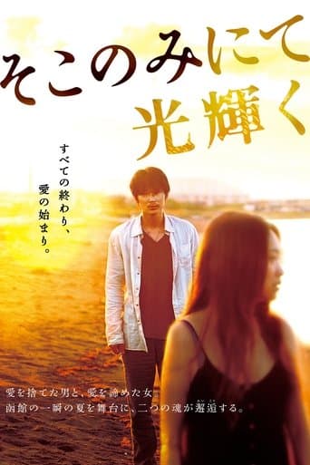 Movie poster for The Light Shines Only There