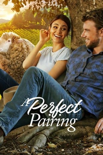 Movie poster for A Perfect Pairing