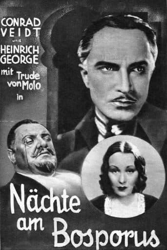 Movie poster for The Man Who Committed the Murder
